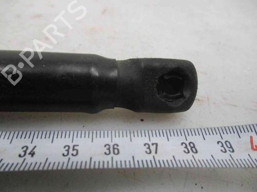 Tailgate lift support KIA PICANTO II (TA) 1.0 | BP26624876C138 