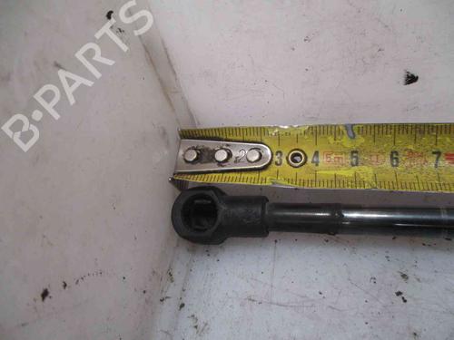 Hood lift support AUDI A3 (8L1) 1.6 | BP19712587C139 
