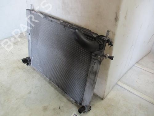Water radiator RENAULT CLIO III (BR0/1, CR0/1) 1.4 16V | BP29263304M31 
