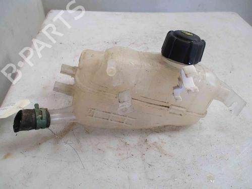 Used Expansion tank RENAULT MEGANE III Hatchback (BZ0/1_, B3_) 1.5 dCi (BZ0C) (90 hp) 20205286