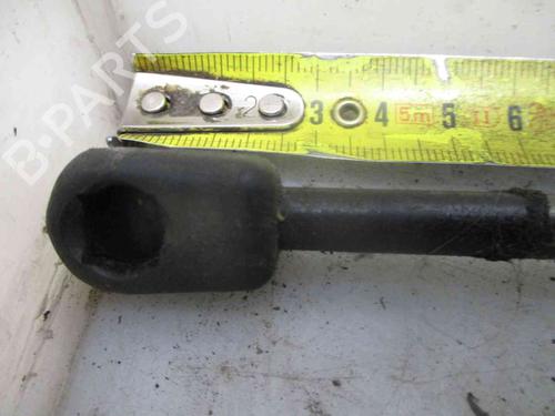 Tailgate lift support NISSAN ALMERA II Hatchback (N16)  | BP24008719C138 