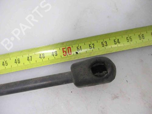 Hood lift support FIAT STILO (192_) 1.2 16V (192_XA1B) | BP24007659C139 
