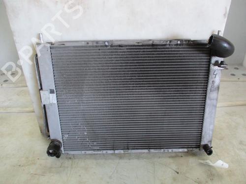 Water radiator RENAULT CLIO III (BR0/1, CR0/1) 1.4 16V | BP29263304M31 