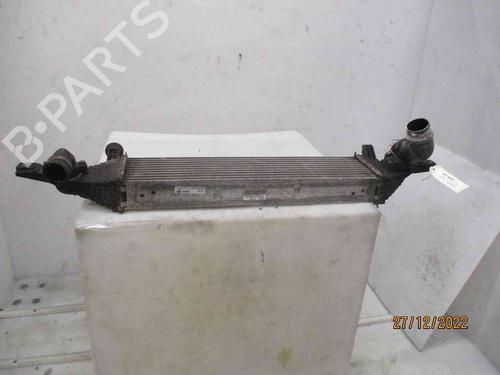 Intercooler NISSAN QASHQAI / QASHQAI +2 I (J10, NJ10, JJ10E) 1.6 dCi | BP26627904M30 