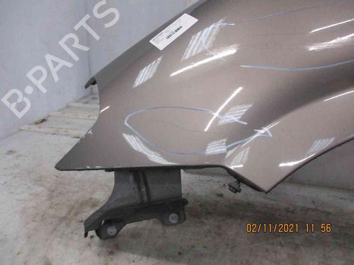 Left front fenders LANCIA MUSA (350_) 1.3 D Multijet (350.AXM11, 350.AXM1A, 350.AXI1A) | BP19738830C41 