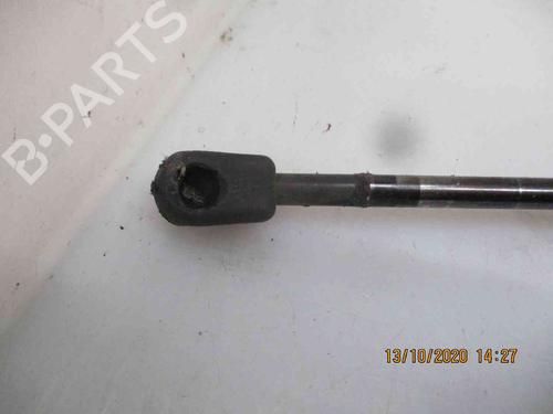 Tailgate lift support SKODA OCTAVIA II (1Z3) 1.9 TDI | BP24010472C138 