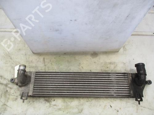 Intercooler NISSAN QASHQAI / QASHQAI +2 I (J10, NJ10, JJ10E) 2.0 dCi | BP24971358M30 