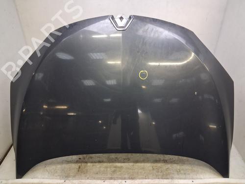 hood-renault-megane-iii-hatchback-bz01_-b3_-2008-40273020 main image