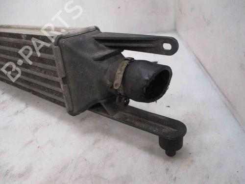 Intercooler FIAT GRANDE PUNTO (199_) 1.3 D Multijet (199.AXD11, 199.AXD1A, 199.AXD1B,... | BP26620293M30 