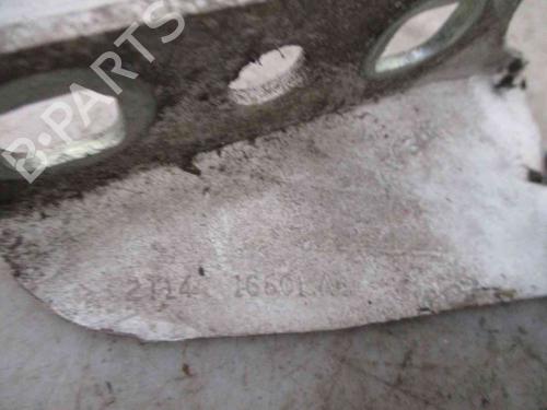 Hinge/Door check strap FORD TRANSIT CONNECT (P65_, P70_, P80_) 1.8 TDCi | BP19716440C146 