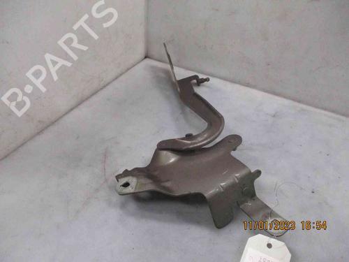 Used Hinge/Door check strap RENAULT SCÉNIC III (JZ0/1_) 1.5 dCi (106 hp) 24011753