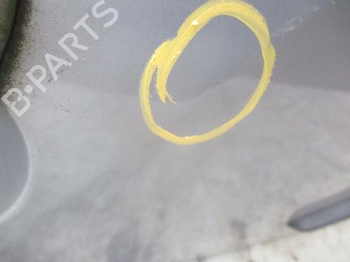 Right rear door RENAULT MEGANE II (BM0/1_, CM0/1_)  | BP29984661C5 