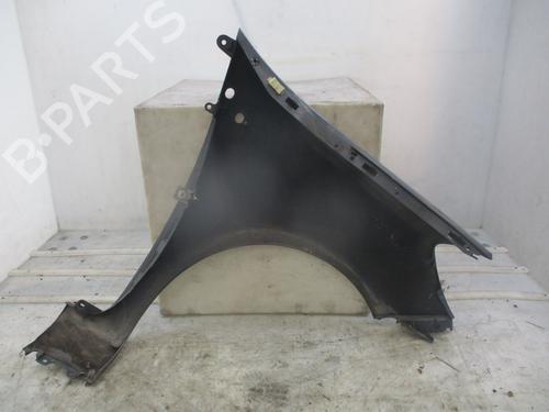 Left front fenders RENAULT CLIO III (BR0/1, CR0/1)  | BP29379759C41 