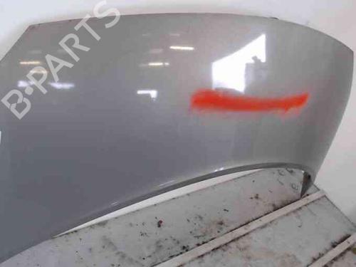 Hood RENAULT SCÉNIC II (JM0/1_) 1.9 dCi (JM0G, JM12, JM1G, JM2C) | BP19714714C1 