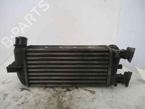 Intercooler FIAT 500 (312_) 1.3 D Multijet (312AXB1A) | BP26621858M30 