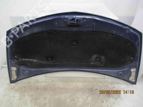 Hood RENAULT CLIO III (BR0/1, CR0/1)  | BP20206777C1 