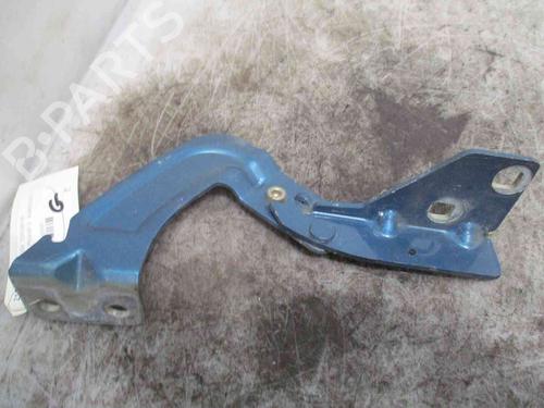 Hinge/Door check strap RENAULT KANGOO Express (FC0/1_)  | BP19713870C146 
