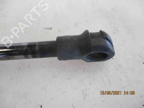 Tailgate lift support AUDI A3 (8P1) 2.0 TDI | BP19735232C138 