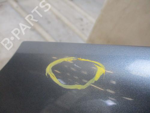Left front fenders PEUGEOT 207 (WA_, WC_) 1.6 HDi | BP29514938C41 