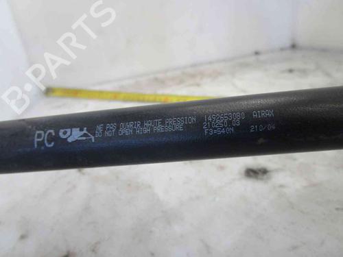 Tailgate lift support PEUGEOT 807 (EB_) 2.2 HDi | BP19734960C138 