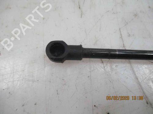 Tailgate lift support PEUGEOT 107 (PM_, PN_) 1.0 | BP20205844C138