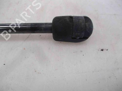 Tailgate lift support CITROËN C3 I (FC_, FN_) 1.4 HDi | BP19741981C138 