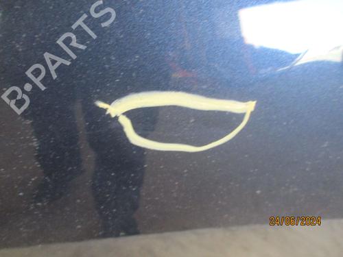 Left rear door DACIA SANDERO II 1.5 Blue dCi 95 (B8JL) | BP26634814C4 