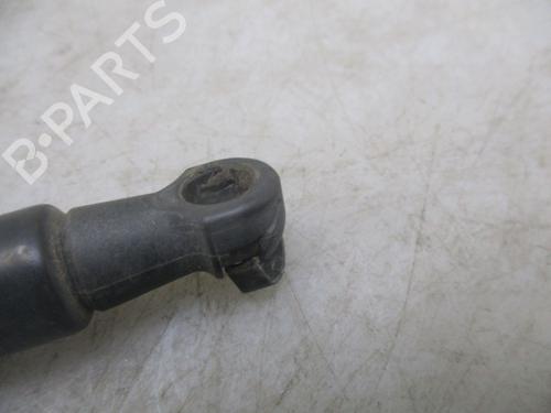 Tailgate lift support NISSAN QASHQAI / QASHQAI +2 I (J10, NJ10, JJ10E) 1.5 dCi | BP24996670C138 