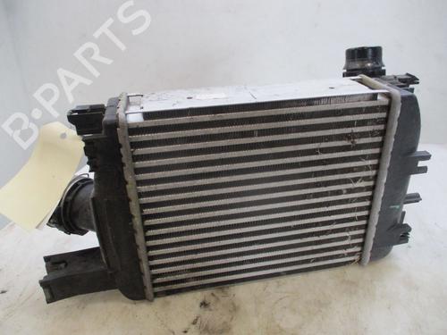 Intercooler DACIA DUSTER (HM_) 1.5 dCi 110 4x4 (HMAB) | BP30116672M30