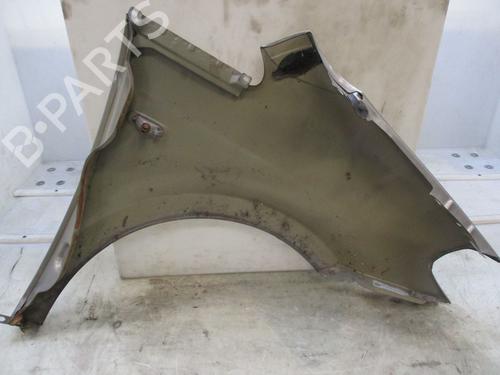 Left front fenders LANCIA MUSA (350_) 1.3 D Multijet (350.AXM11, 350.AXM1A, 350.AXI1A) | BP24971381C41 