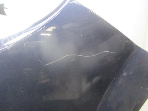 Front bumper RENAULT SCÉNIC II (JM0/1_) 1.9 dCi (JM0G, JM12, JM1G, JM2C) | BP29576855C7 