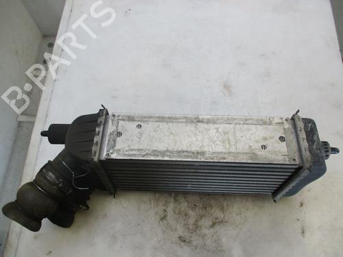 Intercooler FIAT SCUDO Van (270_, 272_)  | BP24444312M30 