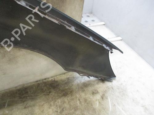 Left front fenders PEUGEOT 307 CC (3B) 2.0 16V | BP29170257C41 