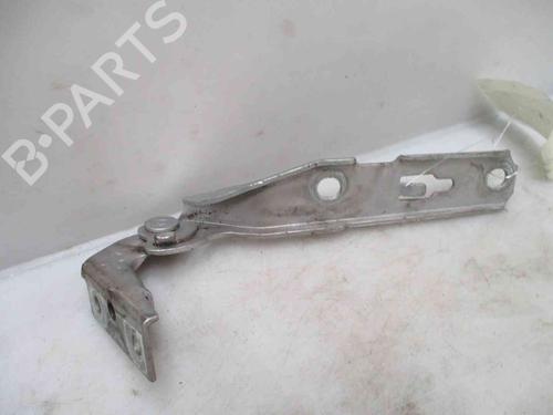 Hinge/Door check strap AUDI A4 B7 (8EC) 1.6 | BP19716895C146 