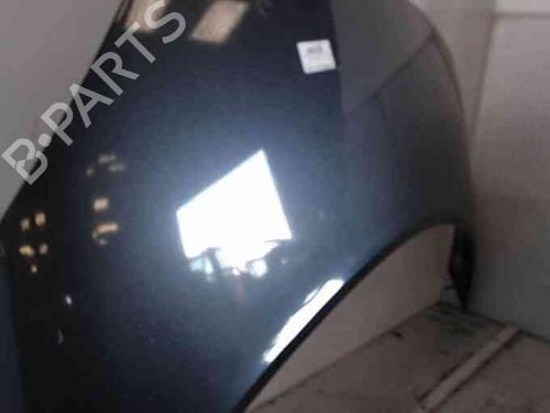 Hood RENAULT SCÉNIC II (JM0/1_) 1.9 dCi (JM0G, JM12, JM1G, JM2C) | BP19714245C1 