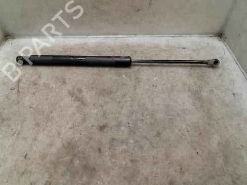 Hood lift support VW GOLF V (1K1)  | BP24014566C139 
