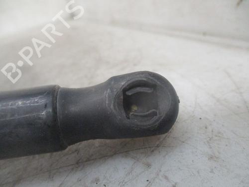Tailgate lift support RENAULT MEGANE III Grandtour (KZ0/1) 1.5 dCi (KZ09, KZ0D, KZ1G, KZ29, KZ14, KZ1W, KZ10, KZ1F,... | BP24187495C138