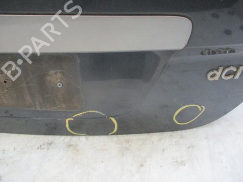 Tailgate RENAULT SCÉNIC III (JZ0/1_) 1.6 dCi (JZ00, JZ12) | BP29317583C6 
