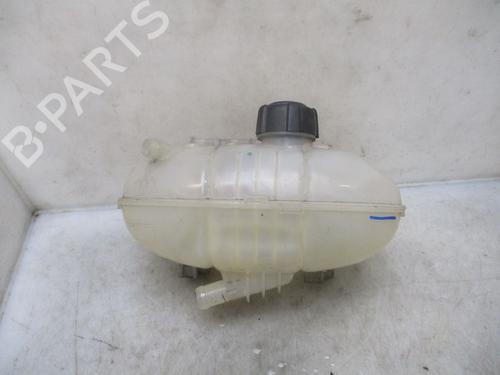 Used Expansion tank RENAULT TRAFIC III Van (FG_) 1.6 dCi 115 (FGMD) (116 hp) 26637716