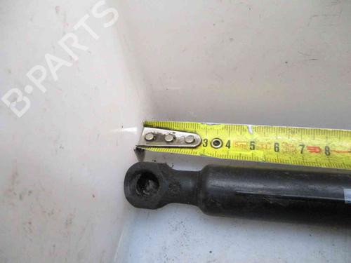 Tailgate lift support RENAULT CLIO IV (BH_) 1.5 dCi 90 | BP20204698C138 