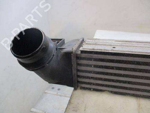 Intercooler RENAULT SCÉNIC III (JZ0/1_) 1.5 dCi | BP30163120M30
