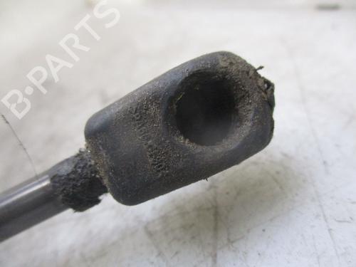 Tailgate lift support OPEL CROSSLAND X / CROSSLAND (P17, P2QO) 1.2 (75) | BP24971328C138 