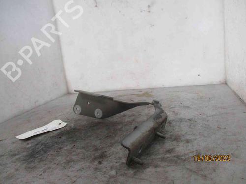 Hinge/Door check strap CITROËN C3 I (FC_, FN_)  | BP26631134C146 