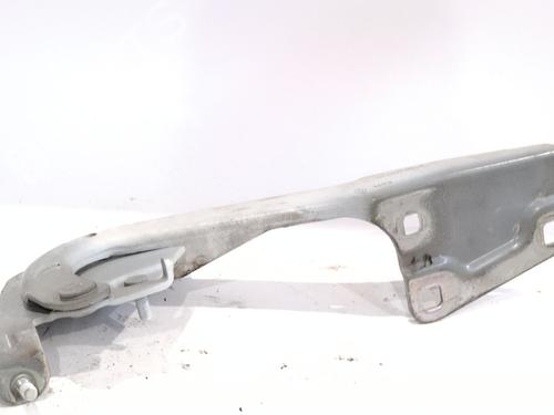 Used Hinge/Door check strap RENAULT MEGANE III Hatchback (BZ0/1_, B3_) 1.5 dCi (BZ09, BZ0D, BZ1W, BZ29, BZ14) (110 hp) 28003617