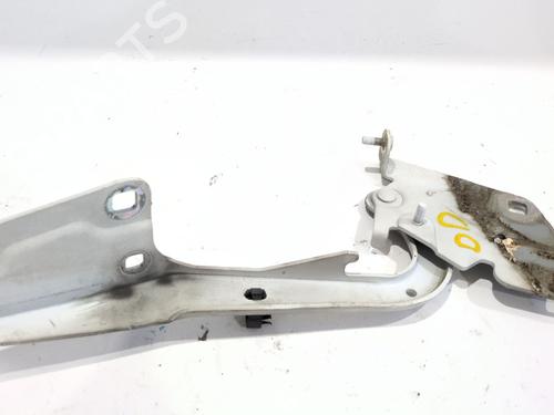 Used Hinge/Door check strap RENAULT MEGANE III Hatchback (BZ0/1_, B3_) 1.5 dCi (BZ09, BZ0D, BZ1W, BZ29, BZ14) (110 hp) 28003610