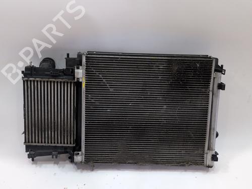 Radiator set RENAULT AUSTRAL TCe 140 (HGMF) | BP38286107M120 - Image 5