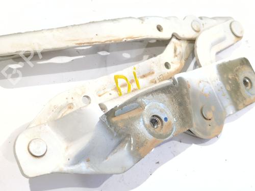 Hinge/Door check strap FORD ECOSPORT 1.5 EcoBlue TDCi | BP27165149C146