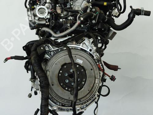 Engine RENAULT ARKANA I (LCM_, LDN_)  | BP29763895M1