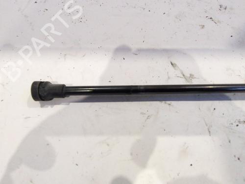 Tailgate lift support FORD KA (RU8) 1.2 | BP28049450C138 