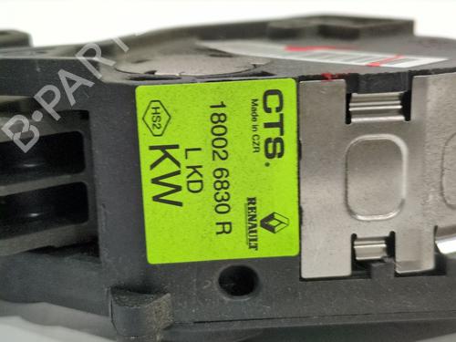 Pedal RENAULT MEGANE IV Hatchback (B9A/M/N_) 1.5 dCi 110 (B9A3) | BP30158179I4
